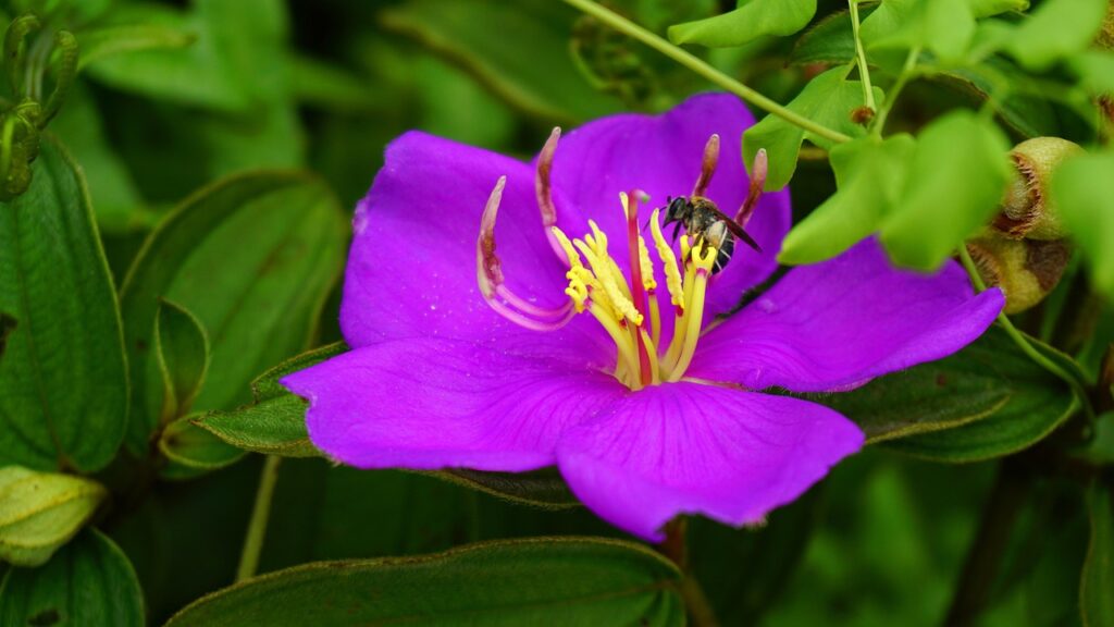 格安SIM初心者が知っておくべきポイント還元キャンペーンとは？