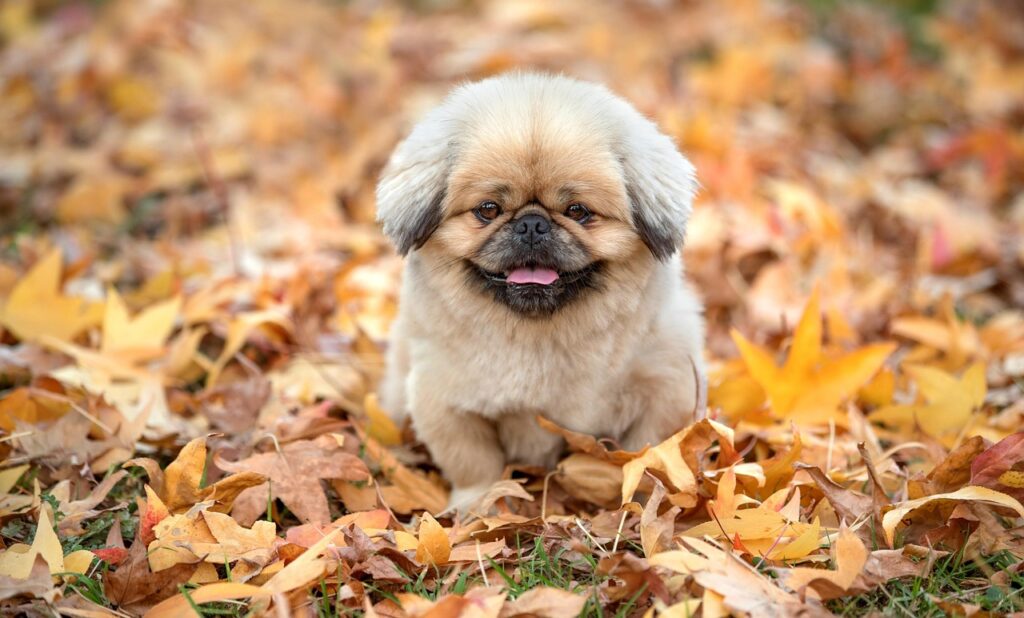 nuroモバイルの電波が悪い原因と改善策は？