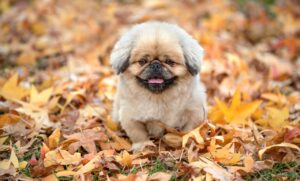 nuroモバイルの電波が悪い原因と改善策は？