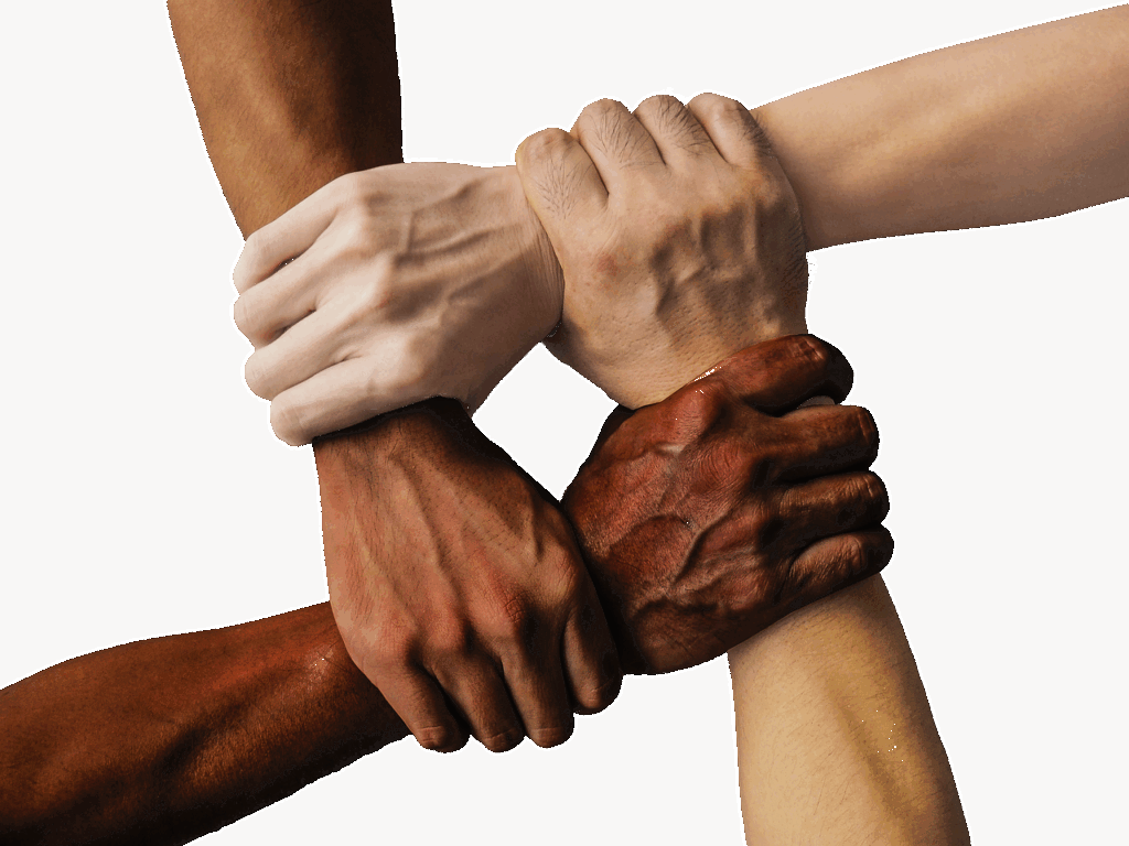 格安SIM初心者向けの店舗サポートはどこが最適？