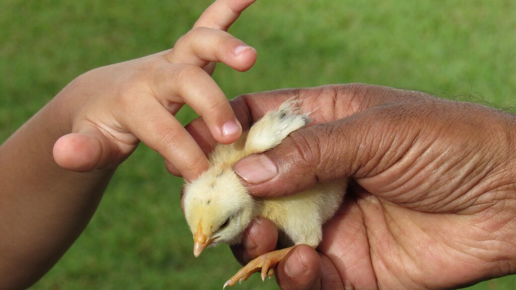 格安SIMの低速は許容範囲内で使えるのか？