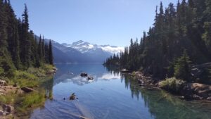 格安SIMの料金を安い順に比較する方法は？