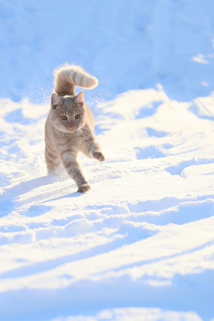 格安SIMの家族向けシェアプラン比較はどこが一番お得？