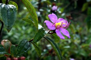 格安SIMを使ったスマホが熱くなる原因とは？