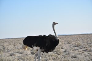 格安SIMへの乗り換えで料金を抑えるために知っておくべきポイントは？